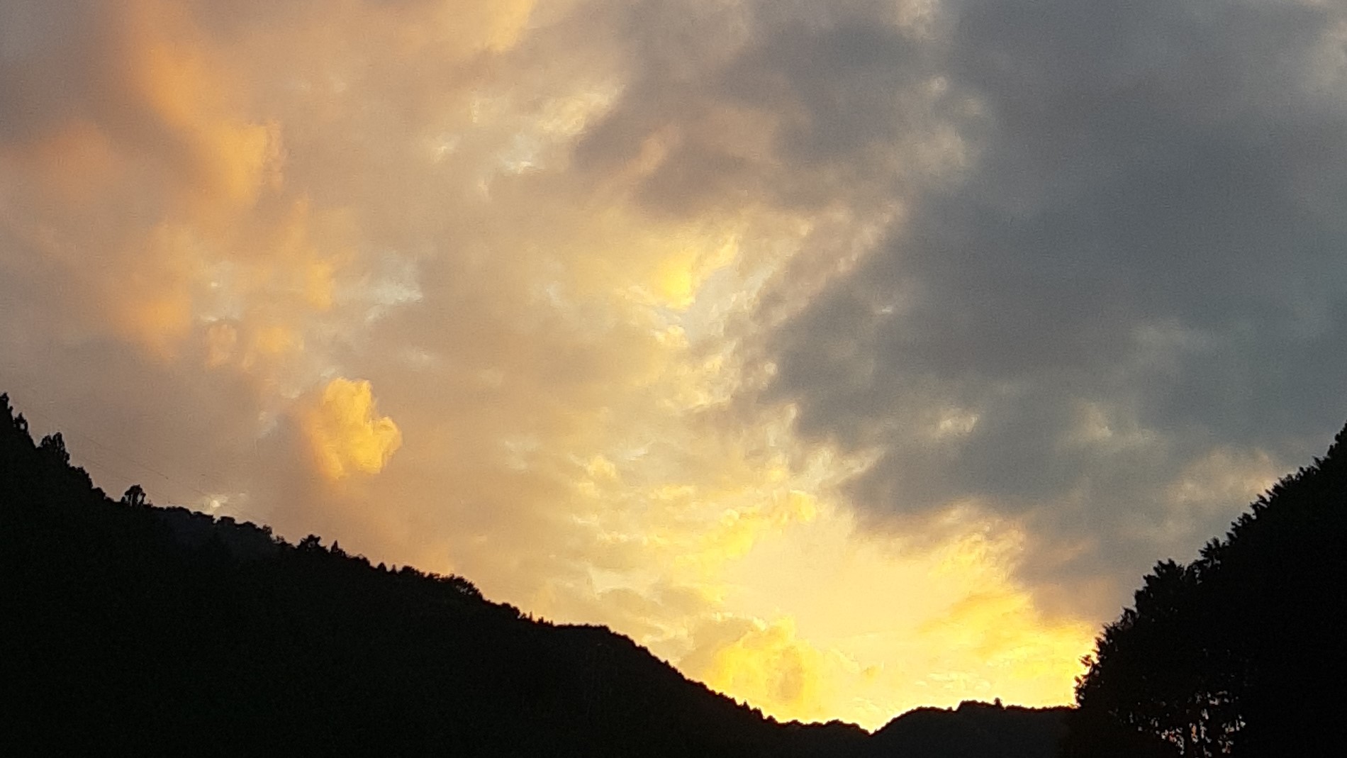 自然な深い理解、信頼